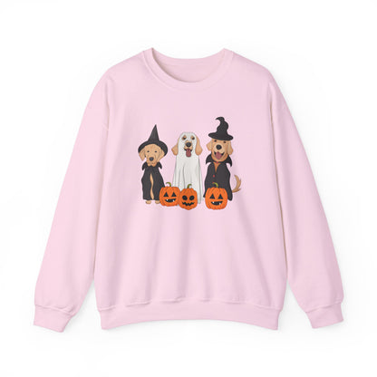 Halloween Witch dogs & a cute ghost T-shirt