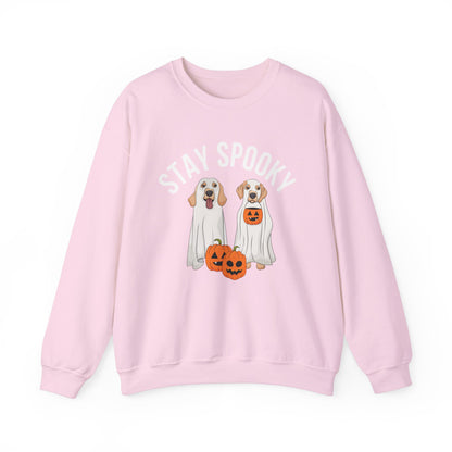 Stay Spooky Pumpkin Sweatshirt