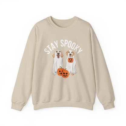 Stay Spooky Pumpkin Sweatshirt