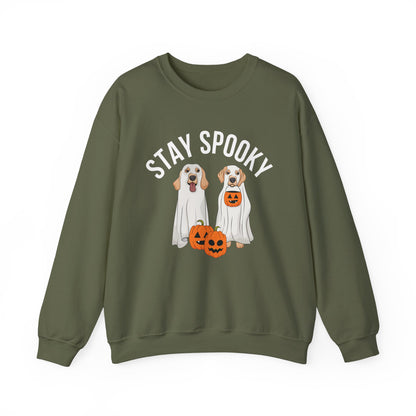 Stay Spooky Pumpkin Sweatshirt