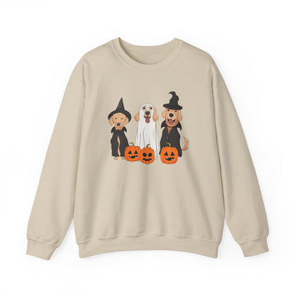 Halloween Witch dogs & a cute ghost T-shirt