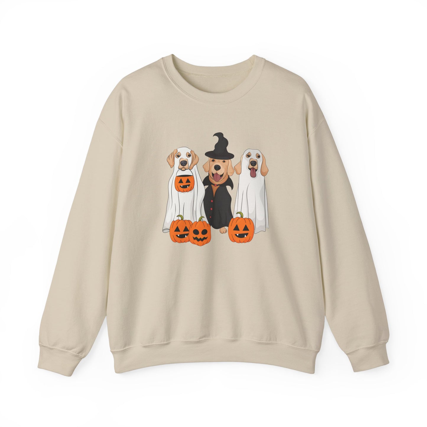 Halloween Dog Ghosts & a Cute Witch Sweatshirt