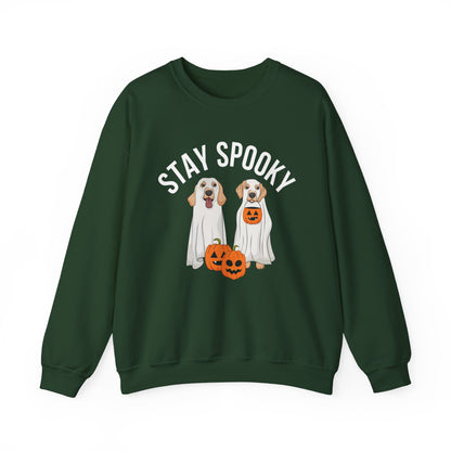 Stay Spooky Pumpkin Sweatshirt